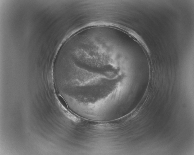 X0000081571388200701221041