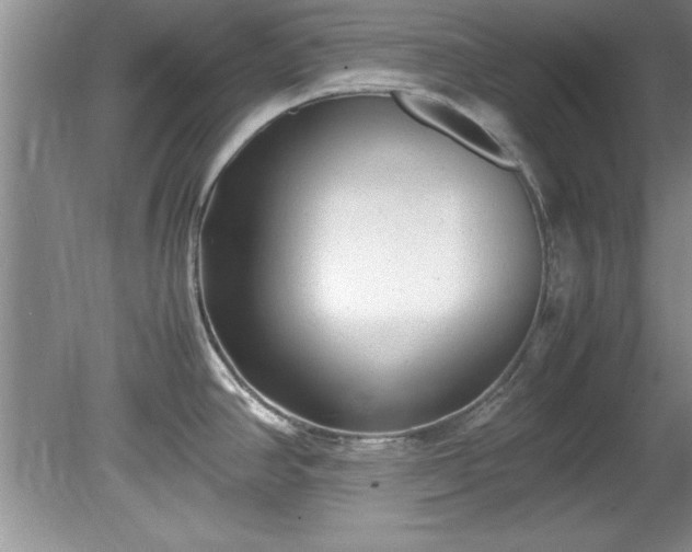 X0000081571390200701221041