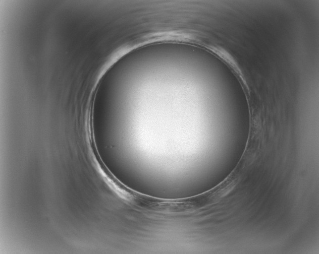 X0000081571391200701221041