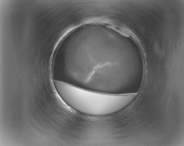 X0000081571392200701221041