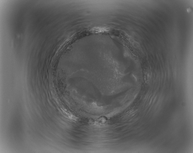 X0000081571393200701221040