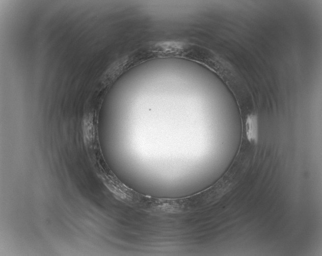 X0000081571395200701221040
