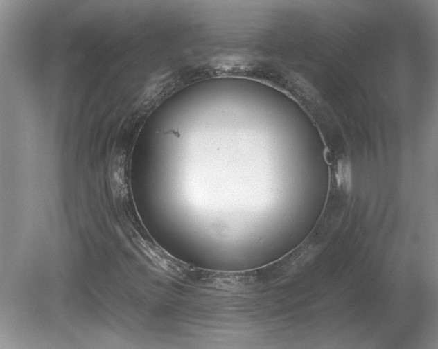 X0000081571396200701221041