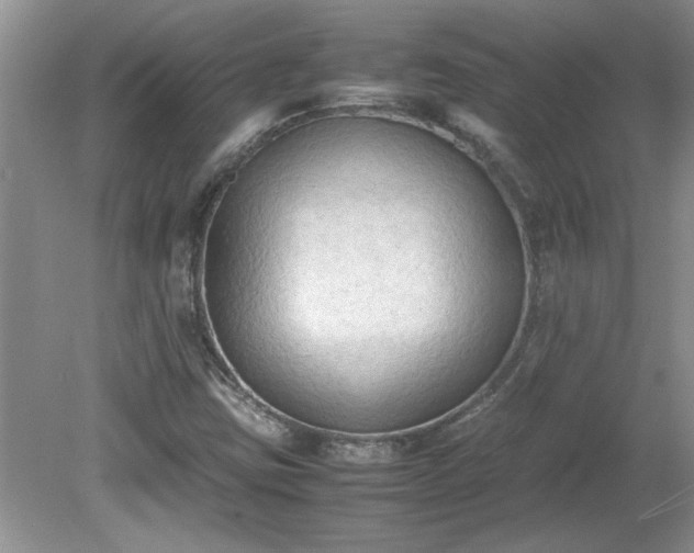 X0000081571403200701221041