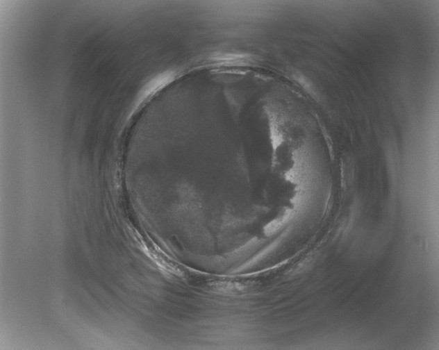 X0000081571405200701221041