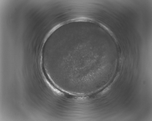 X0000081571418200701221041