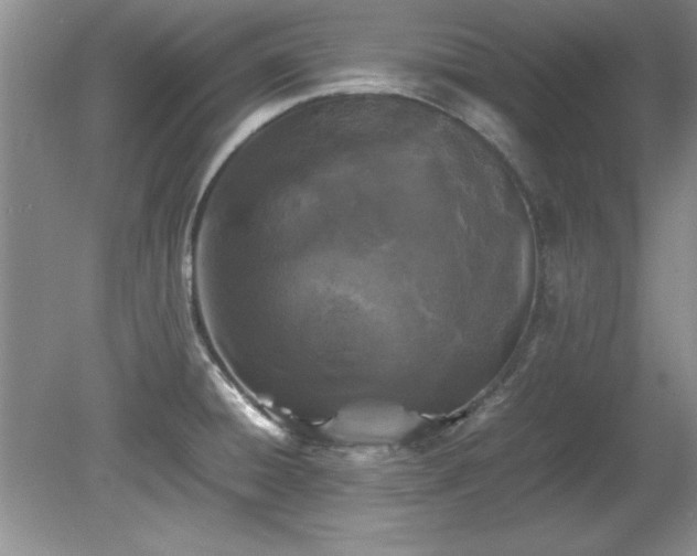 X0000081571428200701221041