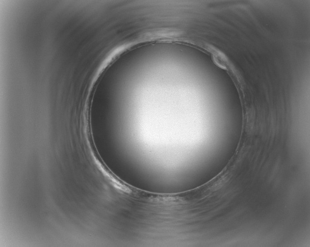 X0000081571432200701221041