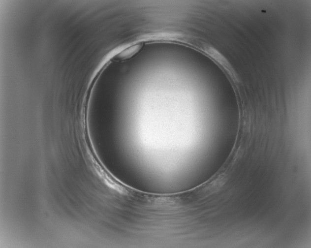 X0000081571436200701221041