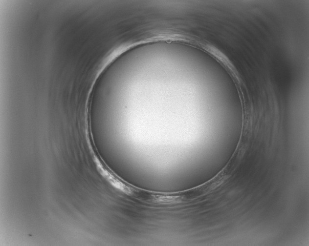 X0000081571439200701221041
