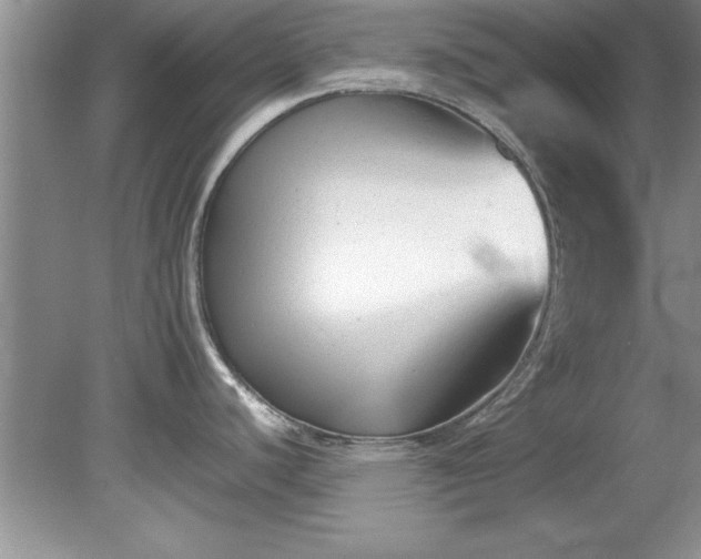 X0000081571440200701221041