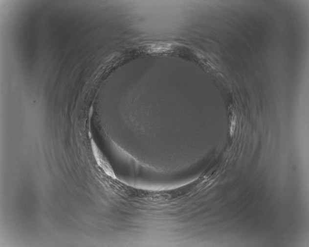 X0000081571441200701221040