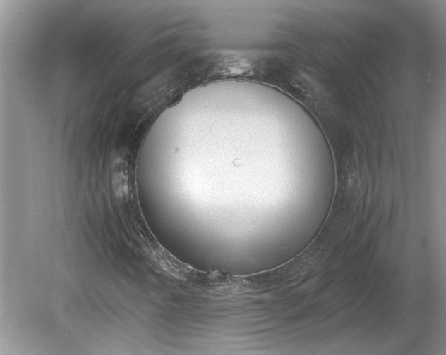 X0000081571442200701221040
