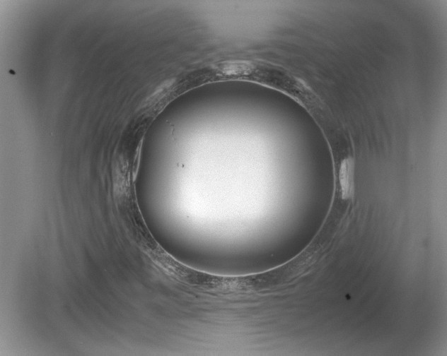 X0000081571443200701221040