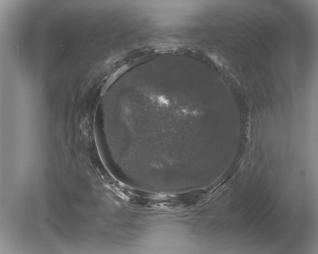 X0000081571445200701221040