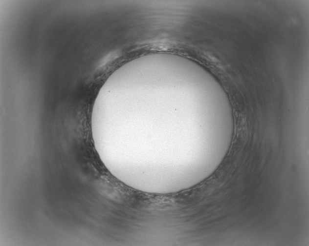 X0000081571446200701221040