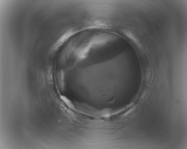 X0000081571455200701221040