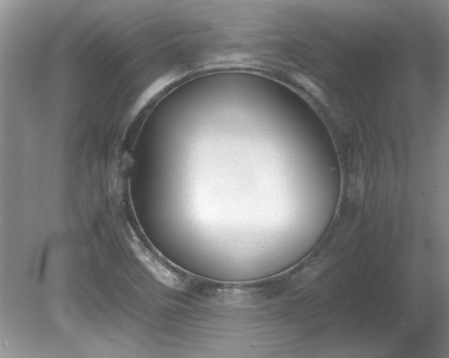 X0000081571458200701221040