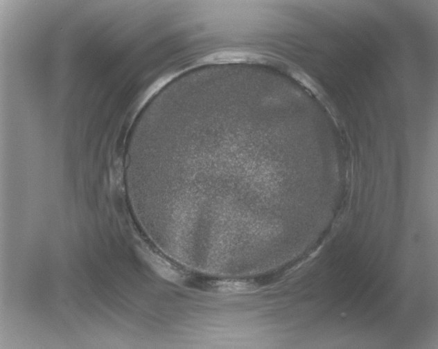 X0000081571465200701221040
