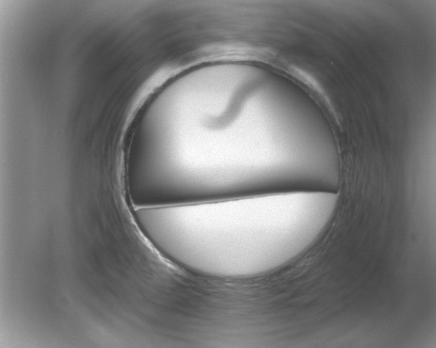 X0000081571472200701221040