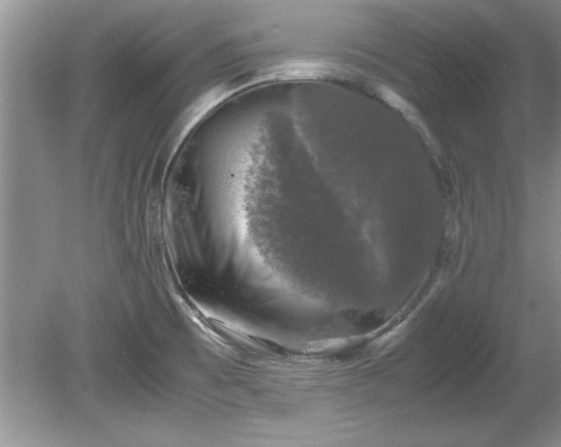 X0000081571473200701221040