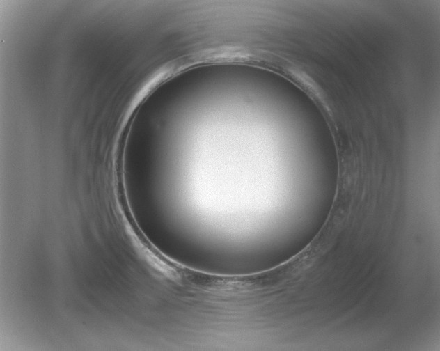 X0000081571475200701221040