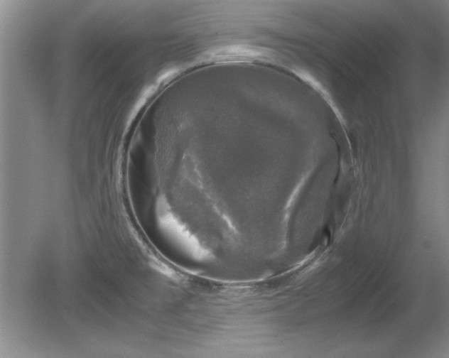 X0000081571477200701221040