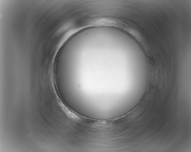 X0000081571478200701221040