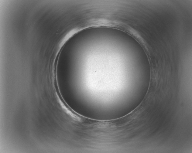 X0000081571479200701221040