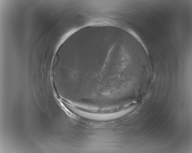 X0000081571485200701221040