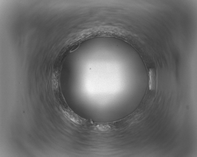 X0000081571491200701221039