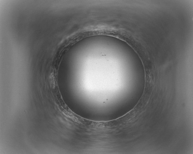 X0000081571493200701221039
