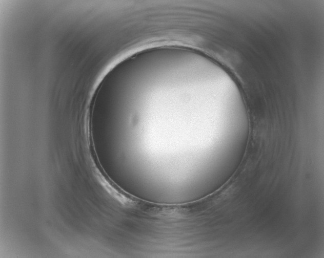X0000081571516200701221039
