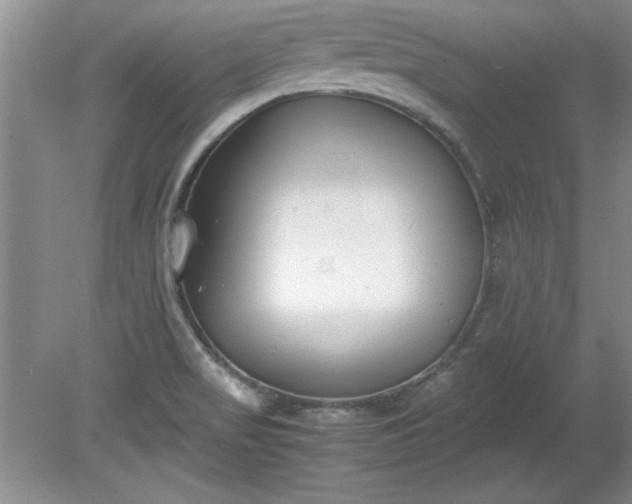 X0000081571517200701221039