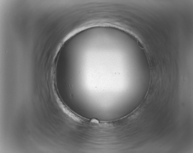 X0000081571526200701221039