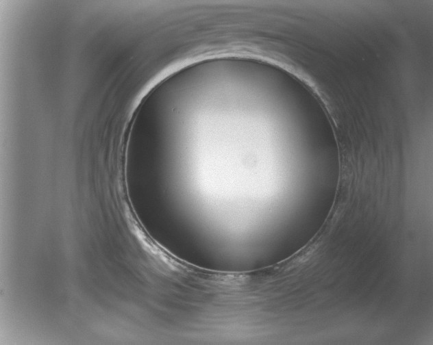 X0000081571534200701221040