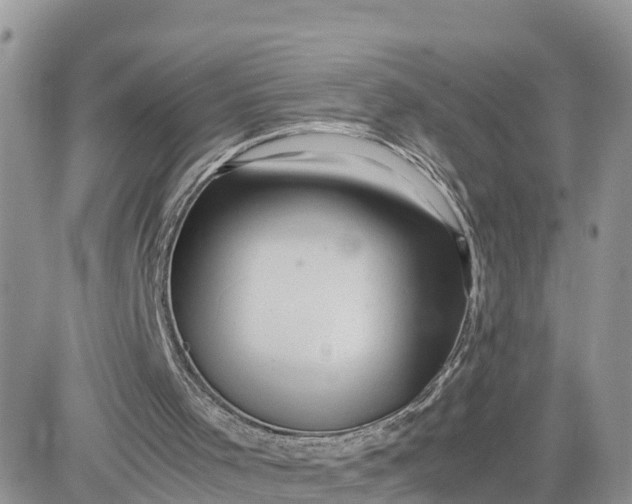 X0000081570001200701291226