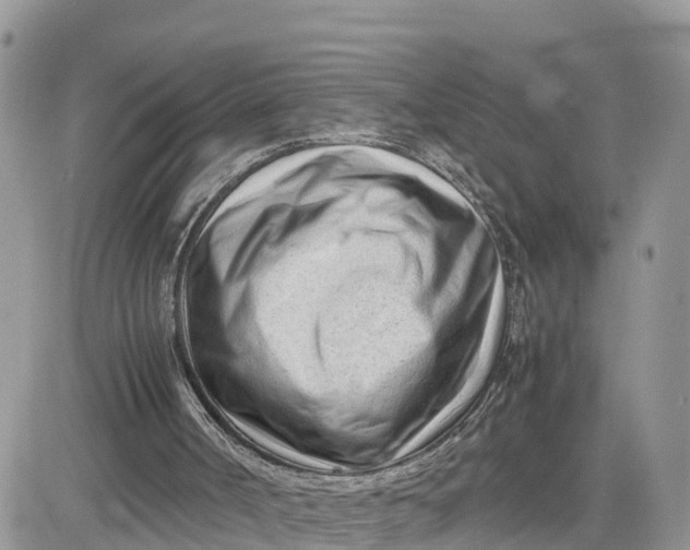 X0000081570002200701291226