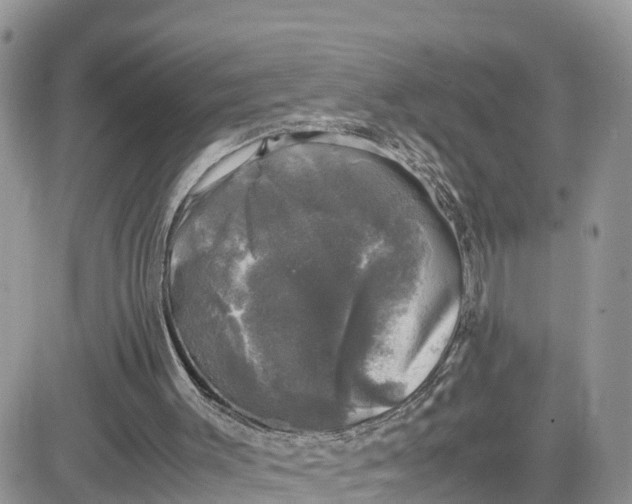 X0000081570003200701291226