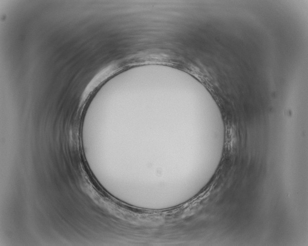 X0000081570004200701291226