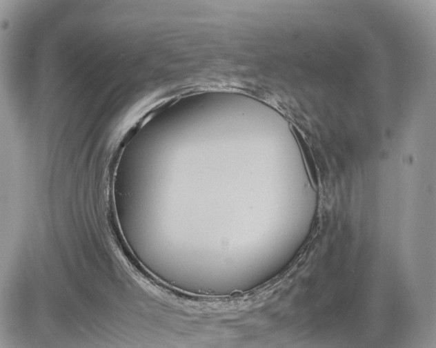 X0000081570005200701291226