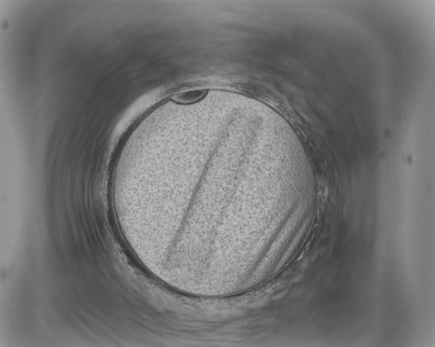 X0000081570006200701291226