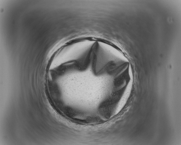 X0000081570007200701291226