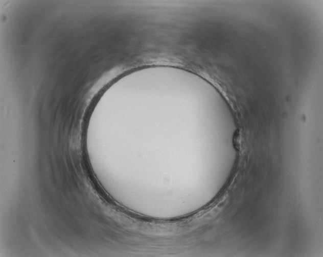 X0000081570008200701291226