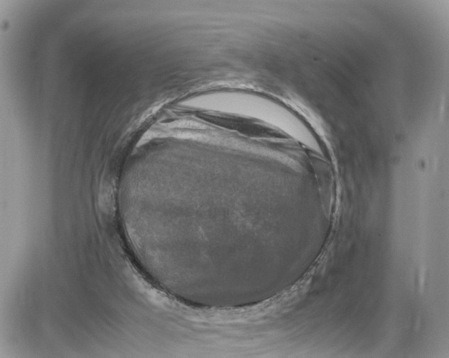 X0000081570009200701291226