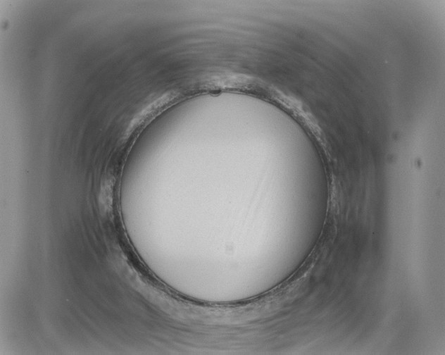 X0000081570010200701291226