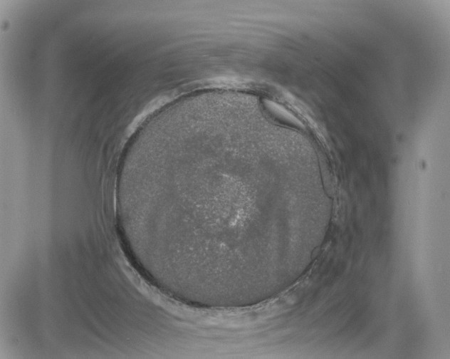 X0000081570011200701291226