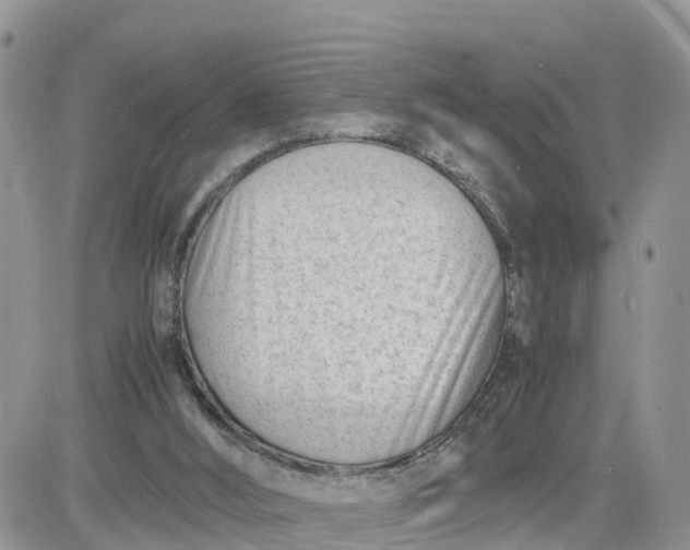 X0000081570012200701291226