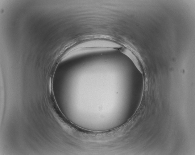 X0000081570013200701291226