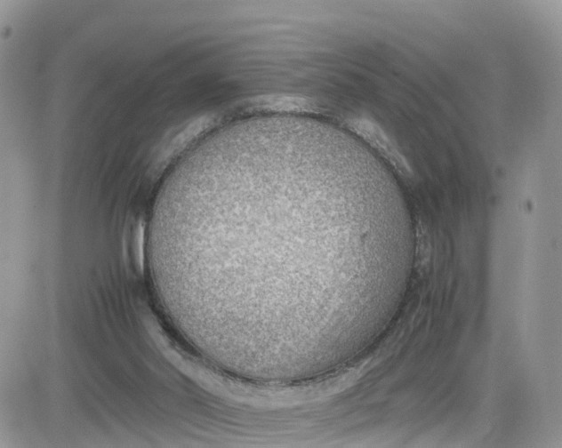 X0000081570014200701291226